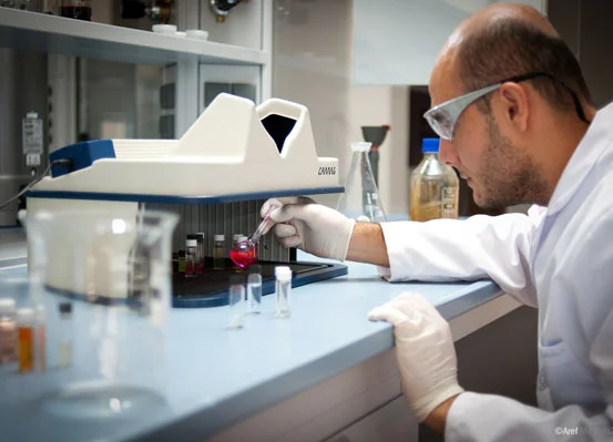 Kuruluşa Özel Araştırma